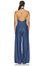 view 3 of 3 Marilyn Jumpsuit in Alhambra