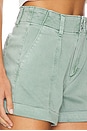 view 6 of 6 Brooklyn Short in Vintage Dusty Sage