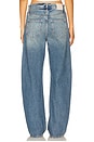view 4 of 6 Arellia Barrel Leg Jeans With Covered Buttonfly in Terrin