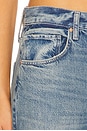 view 6 of 6 Arellia Barrel Leg Jeans With Covered Buttonfly in Terrin