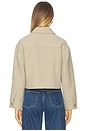 view 3 of 4 Alfie Jacket in Taupe Multi