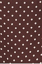 view 5 of 5 Indiah Cami in Mahogany & Ecru
