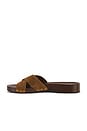 view 5 of 5 SANDALIA INEZ in Chestnut