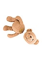 view 2 of 4 Bear in Brown