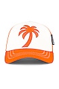 view 1 of 4 Palm Trucker Cap in Orange