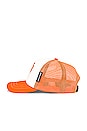 view 3 of 4 Palm Trucker Cap in Orange