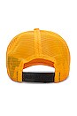 view 4 of 4 Curved Logo Mesh Cap in Ocher Yellow