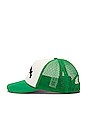view 3 of 4 Curved Logo Mesh Cap in Green