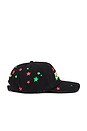 view 3 of 5 Paradise Palm Cap in Black