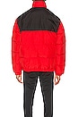 view 5 of 6 CHAQUETA DOWN TRACK in Red & White