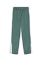 view 2 of 2 PANTALON DE SURVÊTEMENT in Pine Green & White