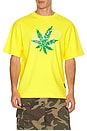view 1 of 4 CAMISETA in Yellow & Green