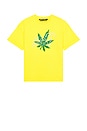 view 4 of 4 CAMISETA in Yellow & Green
