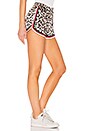 view 2 of 4 Dolphin Shorts in Leopard