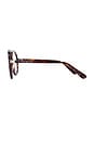 view 3 of 3 GAFAS DE SOL THE ERA in Tortoise