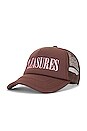 view 2 of 4 Lithium Trucker Cap in Brown