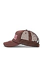 view 3 of 4 Lithium Trucker Cap in Brown