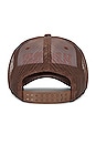 view 4 of 4 Lithium Trucker Cap in Brown