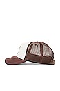 view 3 of 4 CHAPEAU in Brown & Tan