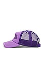 view 3 of 4 SOMBRERO LITHIUM in Purple