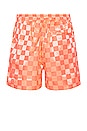 view 2 of 4 ШОРТЫ in Orange