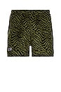 view 1 of 3 Breaker Fuzzy Stripe Shorts in Green