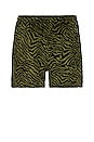 view 2 of 3 Breaker Fuzzy Stripe Shorts in Green