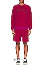view 4 of 4 Mars Sherpa Crewneck in Mauve