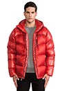 view 2 of 4 Fitz Roy Down Parka in Cochineal Red & El Cap Khaki