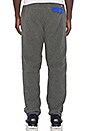view 3 of 4 Synchilla Snap-T Pant in Nickel & Navy Blue
