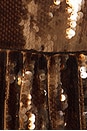 view 4 of 4 Sequin Midi Dress in Brown
