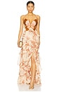 view 1 of 5 Sunset Butterfly Maxi Dress in Beige