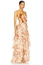view 2 of 5 Sunset Butterfly Maxi Dress in Beige