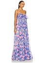 view 2 of 3 Amaryllis Maxi Dress in Blue
