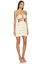 view 2 of 4 Crochet Bloom Cut Out Mini Dress in Beige