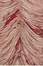 view 4 of 4 Feathers Mini Dress in Rose