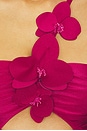 view 5 of 4 Petal Midi Dress in Magenta