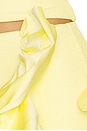 view 6 of 6 Taffeta Tarsila Skirt in Yellow