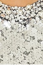 view 5 of 5 Moonlight Sequin Top in Silver