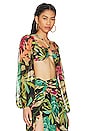 view 2 of 4 TROPICALIA STRETCH クロップトップ in Black