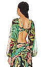 view 3 of 4 TROPICALIA STRETCH クロップトップ in Black