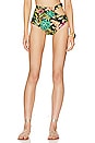 view 1 of 5 Tropicalia Cutout Bikini Bottom in Black