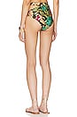 view 4 of 5 Tropicalia Cutout Bikini Bottom in Black