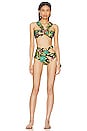 view 5 of 5 Tropicalia Cutout Bikini Bottom in Black