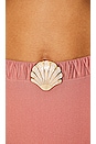 view 5 of 5 Seashell High Waist Bikini Bottom in BLUSH