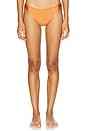 view 1 of 4 Jersey Sands Bikini Bottom in Brown