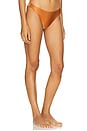view 2 of 4 Jersey Sands Bikini Bottom in Brown
