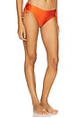 view 2 of 4 Jersey Sands Braided Bikini Bottom in Papric
