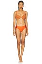 view 4 of 4 Jersey Sands Braided Bikini Bottom in Papric