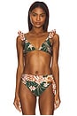 view 1 of 4 Botanic Retro Bikini Top in Dark Green